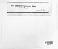 Image Associated With the Occurence